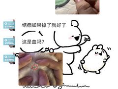 -爱诺耐芙动物医院(万博店)