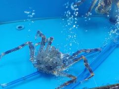 -鲜味食族水产·海鲜餐厅