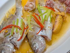 -金成潮菜博物馆(海珠湿地店)