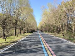 -同里国家湿地公园