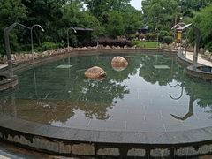 -山湖温泉