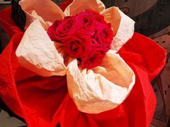 -狮拾久·现代新加坡料理(壹方城店)