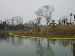 -桤木河湿地公园