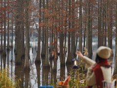 -白鹭湾湿地公园