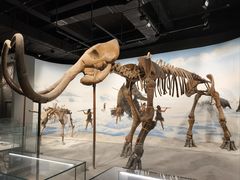 -辽宁古生物博物馆