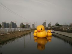 -菊园百果园