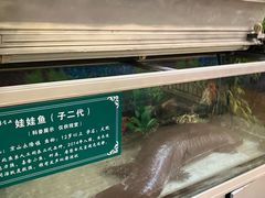 -九尊食上(生态园林酒店)