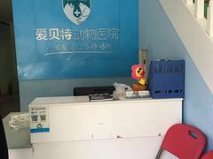 -爱贝特动物医院·猫口炎专科