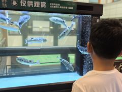 -肆月河豚·淮扬菜·湘菜(华天店)