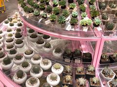 -KKV(深圳宏发大仟里店)