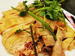 白斩鸡-振鼎鸡(丰庄路店)