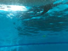 -波塞冬旅游度假区