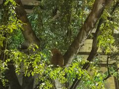 景观位-那家山城(樱桃园店)
