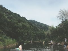 -北仑森林植物园