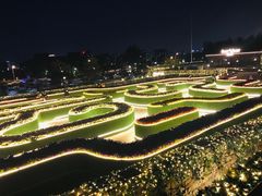 -莫子山公园