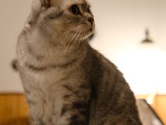 -隅cafe(傅厚岗店)