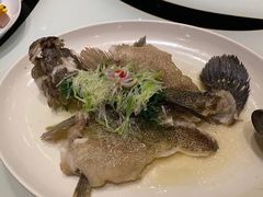 清蒸东星斑-广州文华东方酒店·江-由辉师傅主理