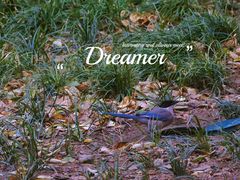 -东华门大街小区