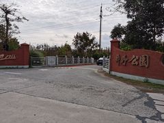 -上海长兴岛郊野公园