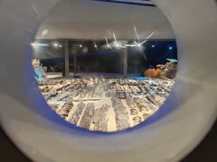 -中国（海南）南海博物馆