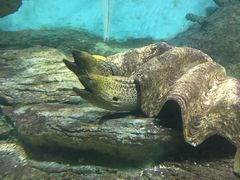 -北戴河圣蓝海洋公园