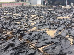 -西涌国际滨海旅游区