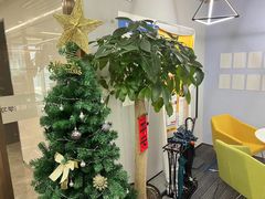 -智课教育国际高中备考托福雅思SATIB A-level AP国际课程中心(静安校区)