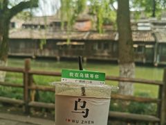 -乌镇东栅景区
