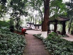 -忠山公园