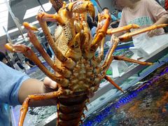 -盒马鲜生(大成店)