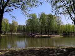-东郊湿地公园