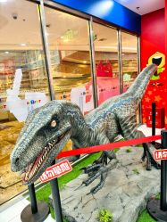 -玩具反斗城(正大广场店)