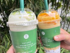 -茉酸奶(春熙路店)