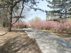 -太阳宫公园
