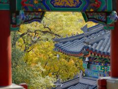 -香山公园