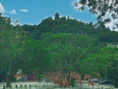 -南沙天后宫景区