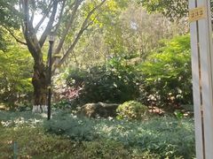 -龙头寺公园