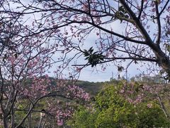 -小南山公园