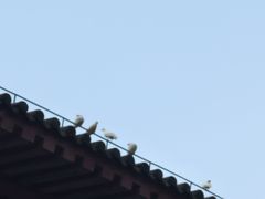 -孙武文化园-停车场