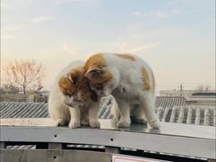 -前叁門