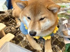 -济南恒隆广场