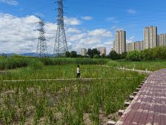-永定河休闲森林公园