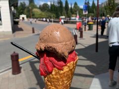 -Patagonia Chocolates(皇后镇店)