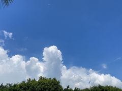 -深圳湾公园(南山区)