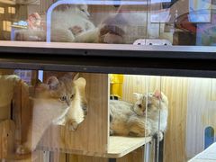 -南京时尚莱迪购物广场(正洪街店)