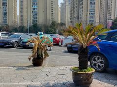 -洪焱重庆老火锅(万福花园店)