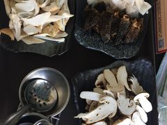 -蘑统田下·野生菌火锅