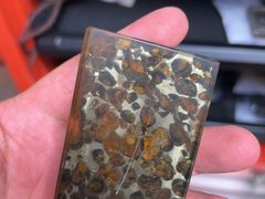 -志强陨石馆(双季花艺店)