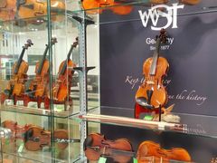 -柏斯琴行(汾阳店)