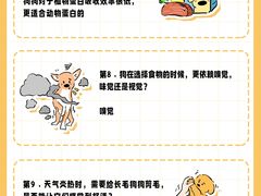 -翊宠yipet猫狗购宠庄园犬舍•猫舍